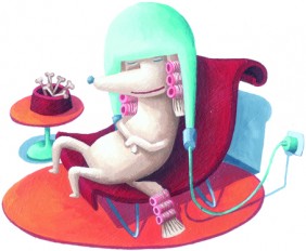 Galerievorschau Dogs Acrylic